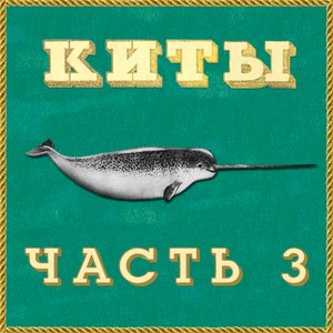 Киты (Часть 3)