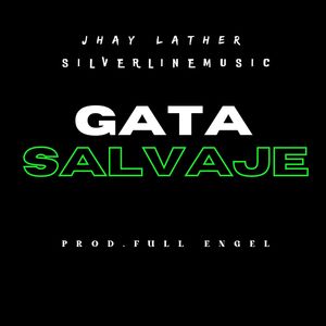 Gata Salvaje