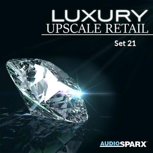 Luxury Upscale Retail, Set 21