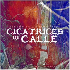 Cicatrises de Calle (feat. Alaink Zinfonik, Reikat & Beat Dehlone) [Explicit]