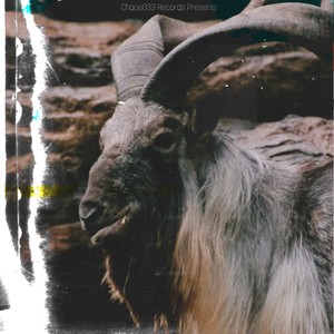 AmaBhoza