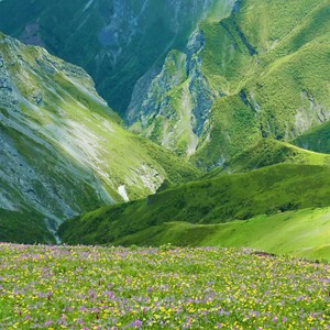 在此山中