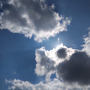 Adam Olacak Çocuklar