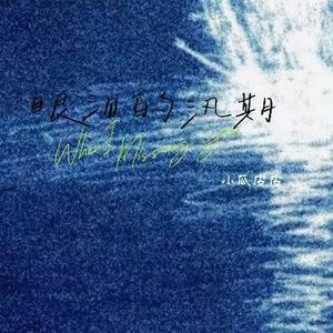 眼泪的汛期 (每当我想起你)