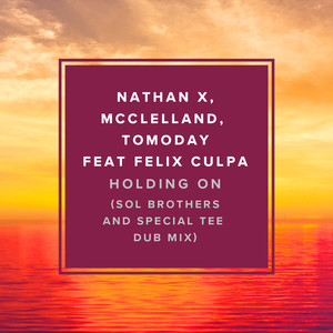 Holding On (Sol Brothers & Special Tee Dub Mix)