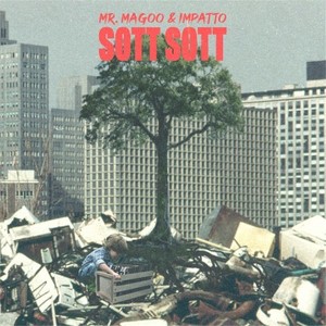 Ama (SottSott Remix)