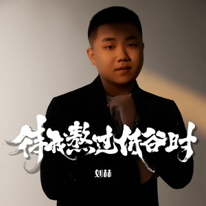 刘小胆 - 待我熬过低谷时