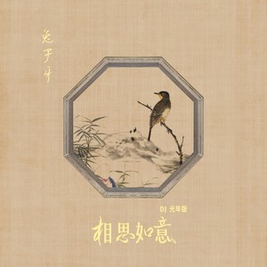 相思如意 (DJ光年版)