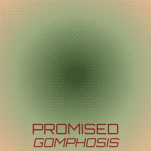 Promised Gomphosis