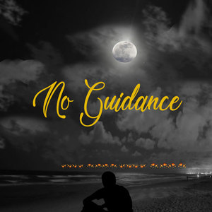 No Guidance