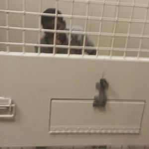 Is it Real (feat. Mir187 & DTRB) (Explicit)