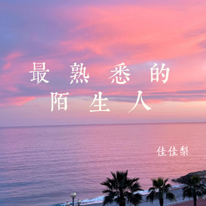 最熟悉的陌生人（只怪我们爱得那么汹涌爱得那么深）