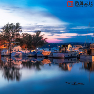 烈日的深拥 (古筝版)