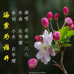 海棠未谁开 (#F调纯伴奏|伴奏)