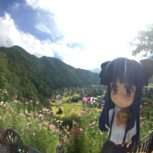 visualnovel.exe