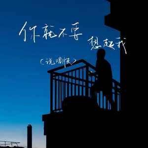 你就不要想起我 (说唱版)