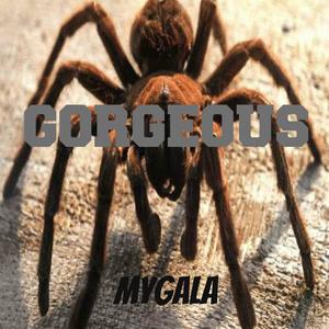 Mygala (Original Mix)