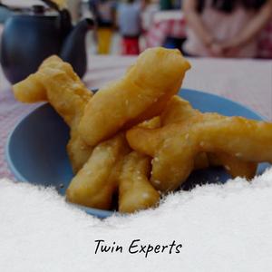 Twin Experts