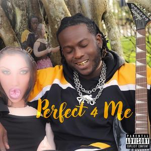Perfect 4 Me (Explicit)