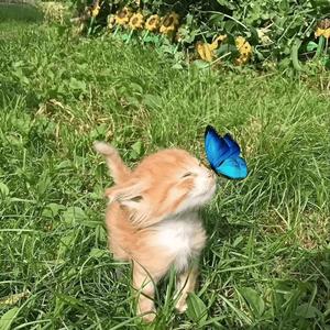 No Love (feat. Lil Wayne, Big Pun & The Game) (Explicit)