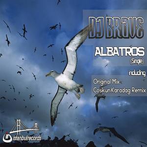 Albatros