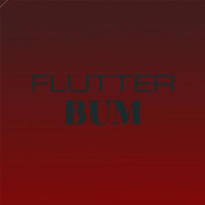 Flutter Bum