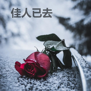 佳人已去