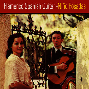 Flamenco Spanish Guitar