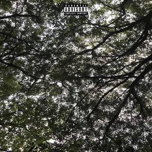 5.55 (Explicit)