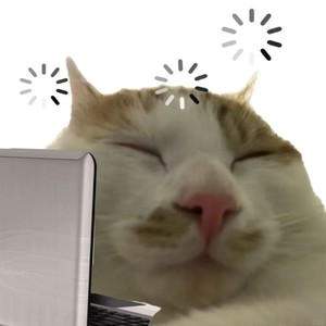 哈基Doomer (哈基米版)