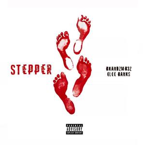 STEPPER (feat. Bkandzmb3z)