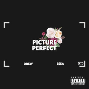 Picture Perfect (Explicit)