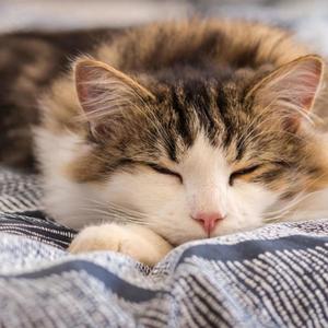 Wake Up 2 (3000 Miles) (Explicit)