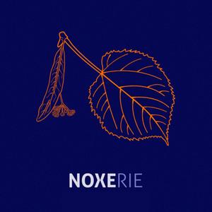 Noxerie(feat. NOSFE, Kheops, Passcall, Pazzo, Flobo, SEZ & DJ Nasa) (Explicit)