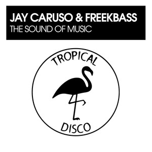 The Sound Of Music (Original Mix)