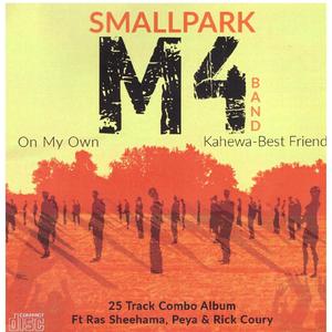 Smallpark M4 Band '2021' (26 Tracks Combo)