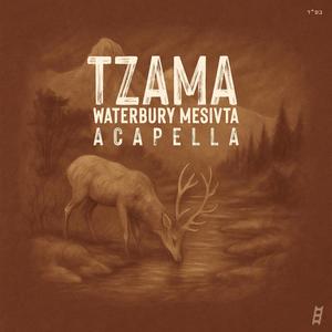 Tzama (feat. EKEV) (Acapella)