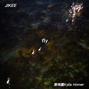 fly