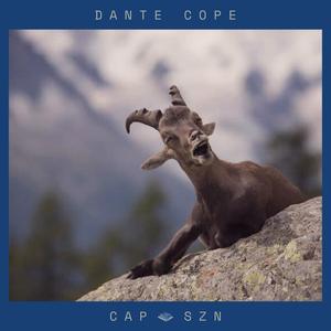 Dante Cope - The **** (Radio Edit)