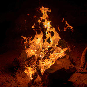 In The Line Of Fire (feat. Lizzie Cooney) (Special Version)