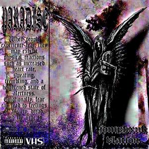 Paradise (feat. VLATION) [Explicit]