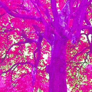 possibly causes a bad trip (Explicit)