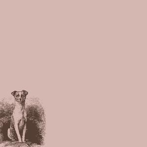 mr. everything he wanted/see you again (Explicit)