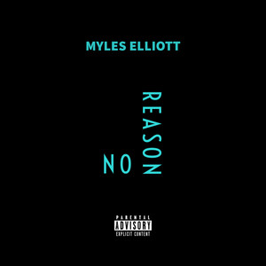 NO REASON (Explicit)