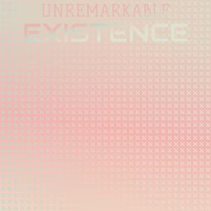 Unremarkable Existence