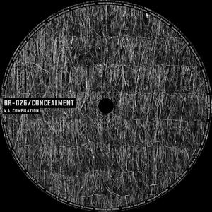 Broken Wet Fragments