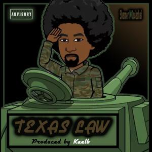 Texas Laws (Explicit)