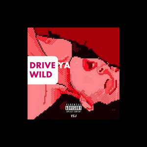 Drive ya wild