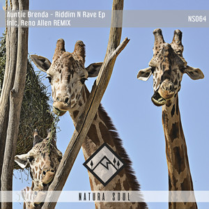 Riddm N Rave (Reno Allen Remix)
