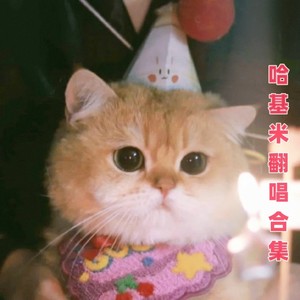 兔基舞（哈基米）